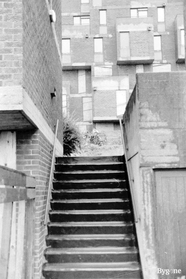 Portsdown park - steps