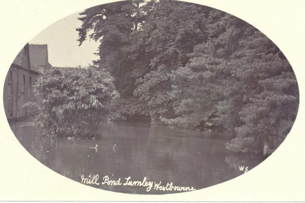 Lumley Mill Pond - Westbourne