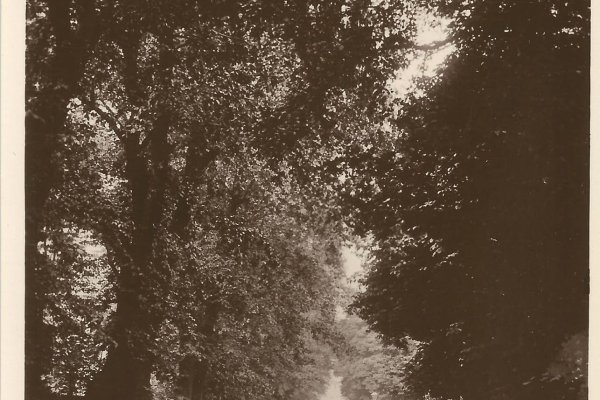 Elm Grove in 1880