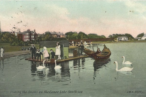 Feeding swans on canoe lake