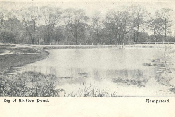 Leg of Mutton Pond, Hampstead