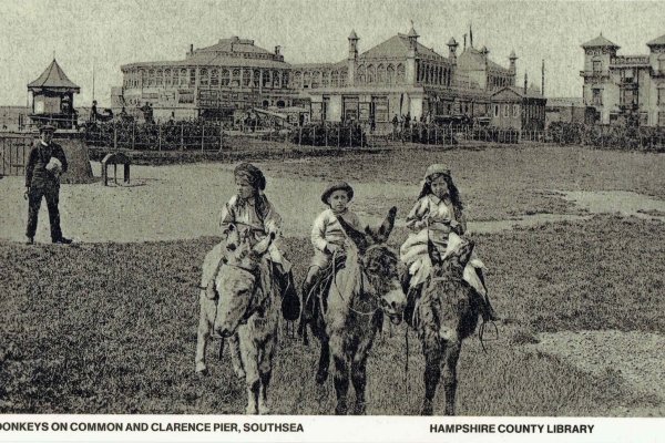 Donkeys on Common and Clarence Pier, Southsea