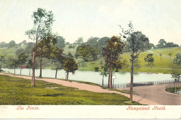 The Ponds, Hampstead Heath